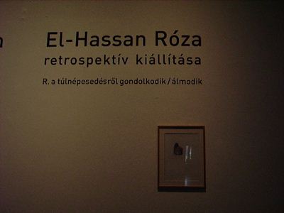 rosa el hassan retrospective