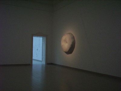 rosa el hassan retrospective